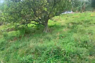 achat terrain morne-vert 97226