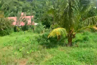 achat terrain morne-vert 97226