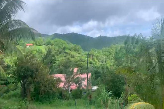 achat terrain morne-vert 97226