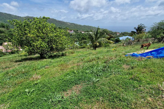 achat terrain morne-vert 97226
