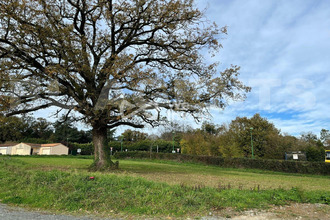 achat terrain mouchamps 85640