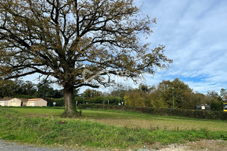 achat terrain mouchamps 85640