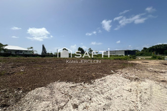 achat terrain moule 97160