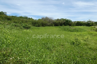 achat terrain moule 97160