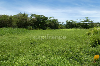 achat terrain moule 97160