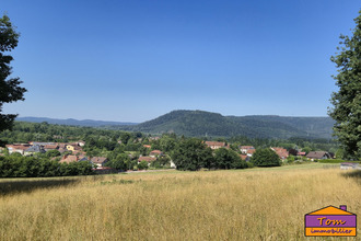 achat terrain moyenmoutier 88420