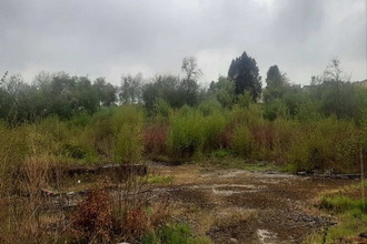 achat terrain mt-st-martin 54350