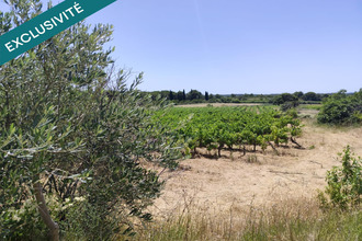 achat terrain mtagnac 34530