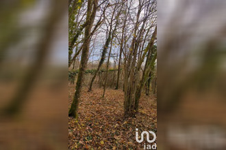 achat terrain mtauville 54700