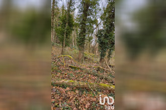 achat terrain mtauville 54700