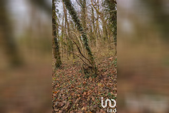 achat terrain mtauville 54700