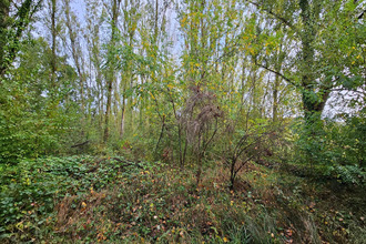 achat terrain mtdurausse 81630