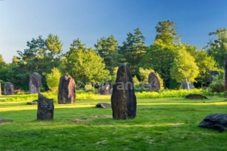 achat terrain mteneuf 56380