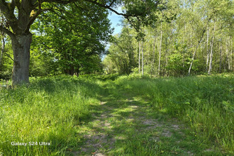 achat terrain mtereau 45260