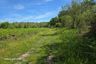 achat terrain mtereau 45260