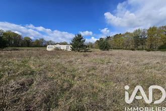 achat terrain mtereau 45260
