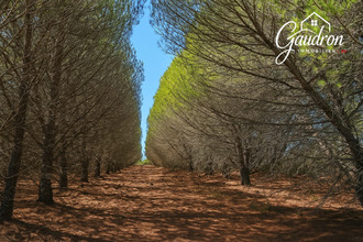 achat terrain mtner 66720