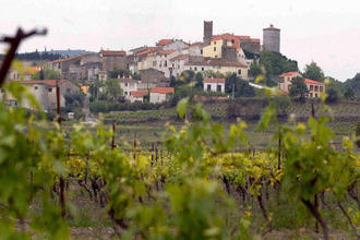 achat terrain mtner 66720