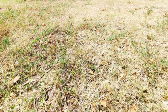 achat terrain mtpellier 34090