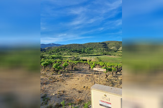 achat terrain mtpeyroux 34150