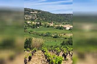 achat terrain mtpeyroux 34150