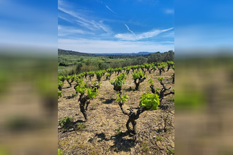 achat terrain mtpeyroux 34150