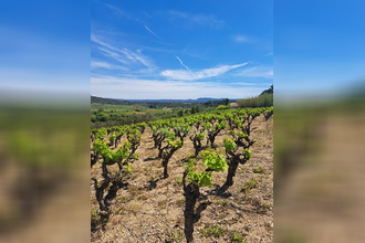 achat terrain mtpeyroux 34150