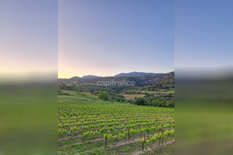 achat terrain mtpeyroux 34150