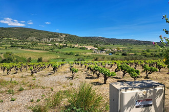 achat terrain mtpeyroux 34150