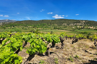 achat terrain mtpeyroux 34150