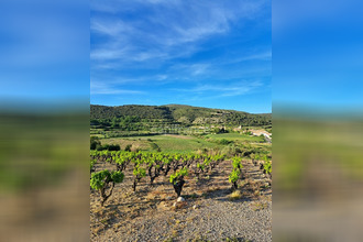 achat terrain mtpeyroux 34150