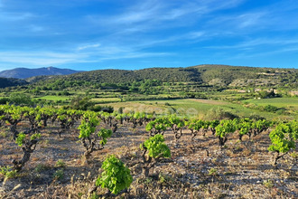 achat terrain mtpeyroux 34150
