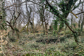 achat terrain mtpon-menesterol 24700