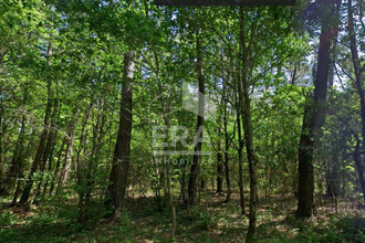 achat terrain mtpon-menesterol 24700