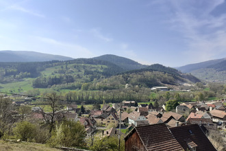 achat terrain muhlbach-sur-munster 68380