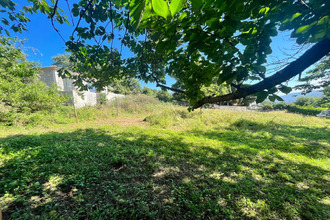 achat terrain murato 20239