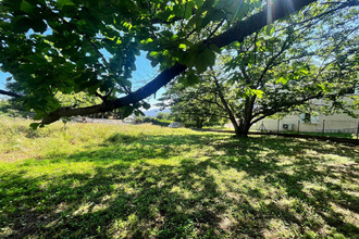 achat terrain murato 20239