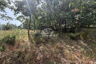 achat terrain murato 20239