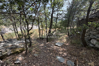 achat terrain murato 20239