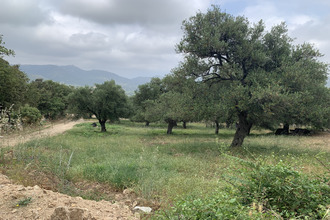 achat terrain muro 20225