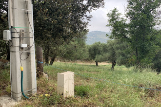 achat terrain muro 20225