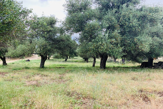 achat terrain muro 20225