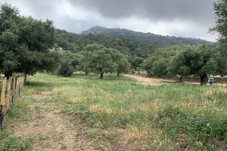 achat terrain muro 20225