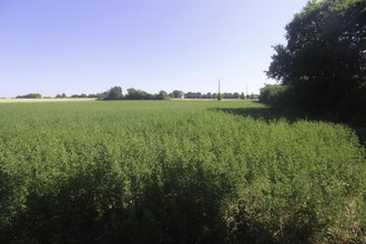 achat terrain nachamps 17380