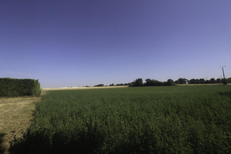 achat terrain nachamps 17380