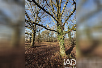 achat terrain nancay 18330