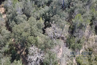 achat terrain nans-les-pins 83860