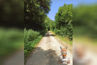 achat terrain nans-sous-ste-anne 25330