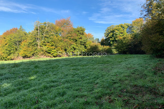 achat terrain naves 19460