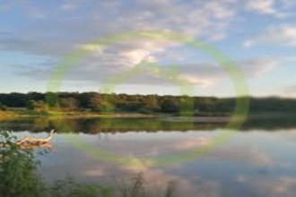 achat terrain navilly 71270